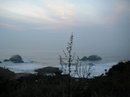 06-pacific-thumb.jpg